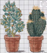 schemi_misti/fiori/cactus-3.jpg